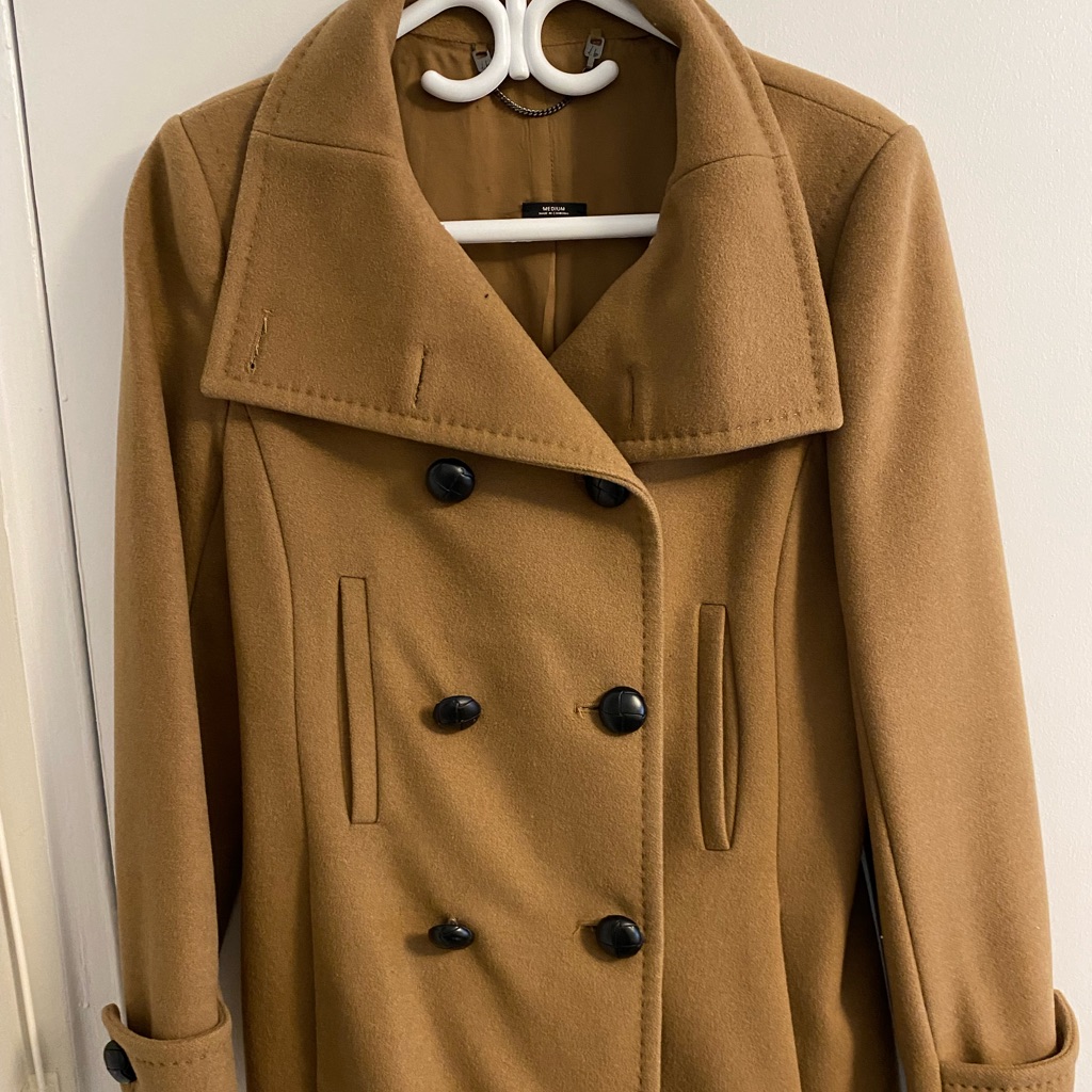 Aritzia Babaton Short Wool Pea Coat.